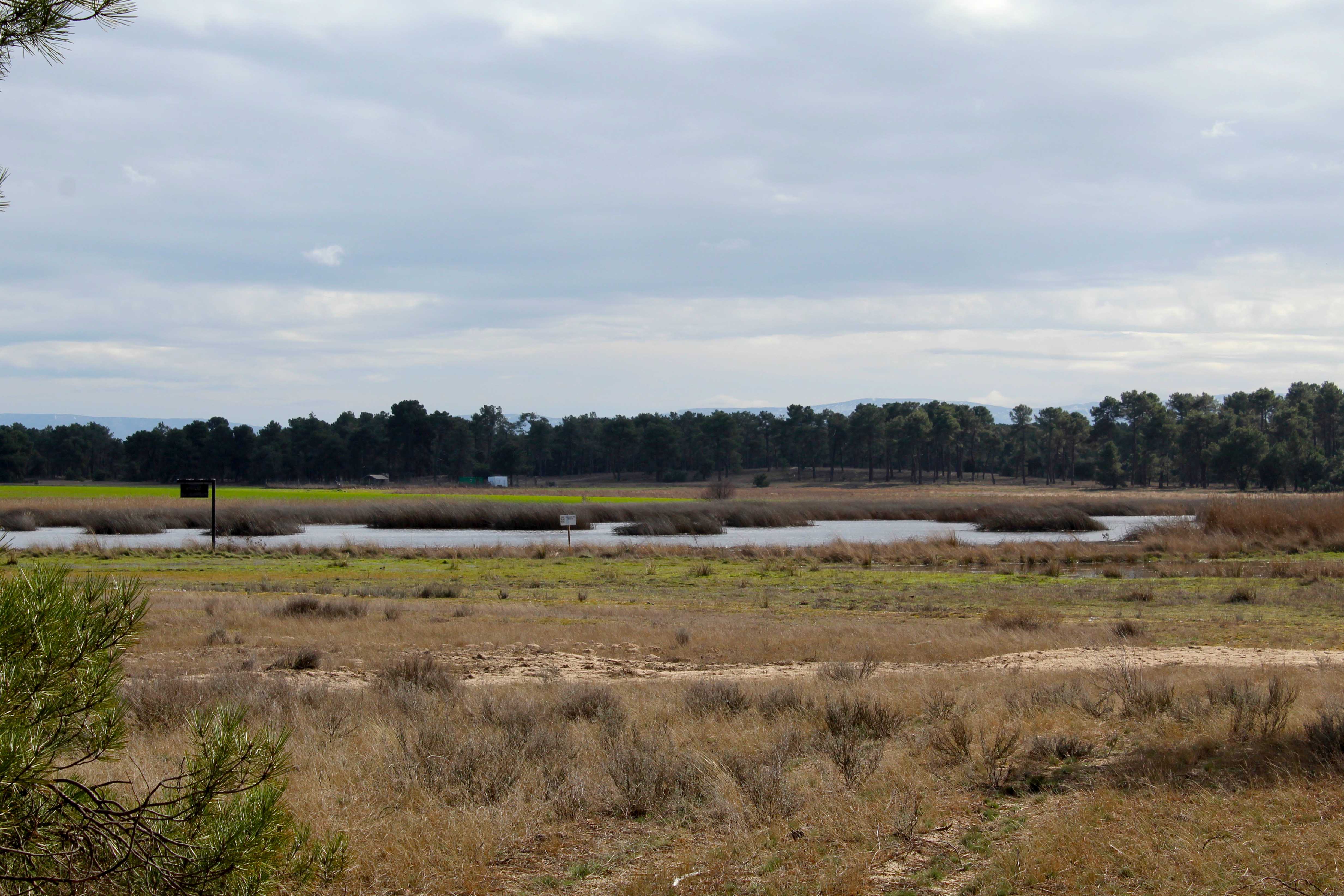 LAGUNA NAVALHORNOS CANTALEJO 4 retocada 