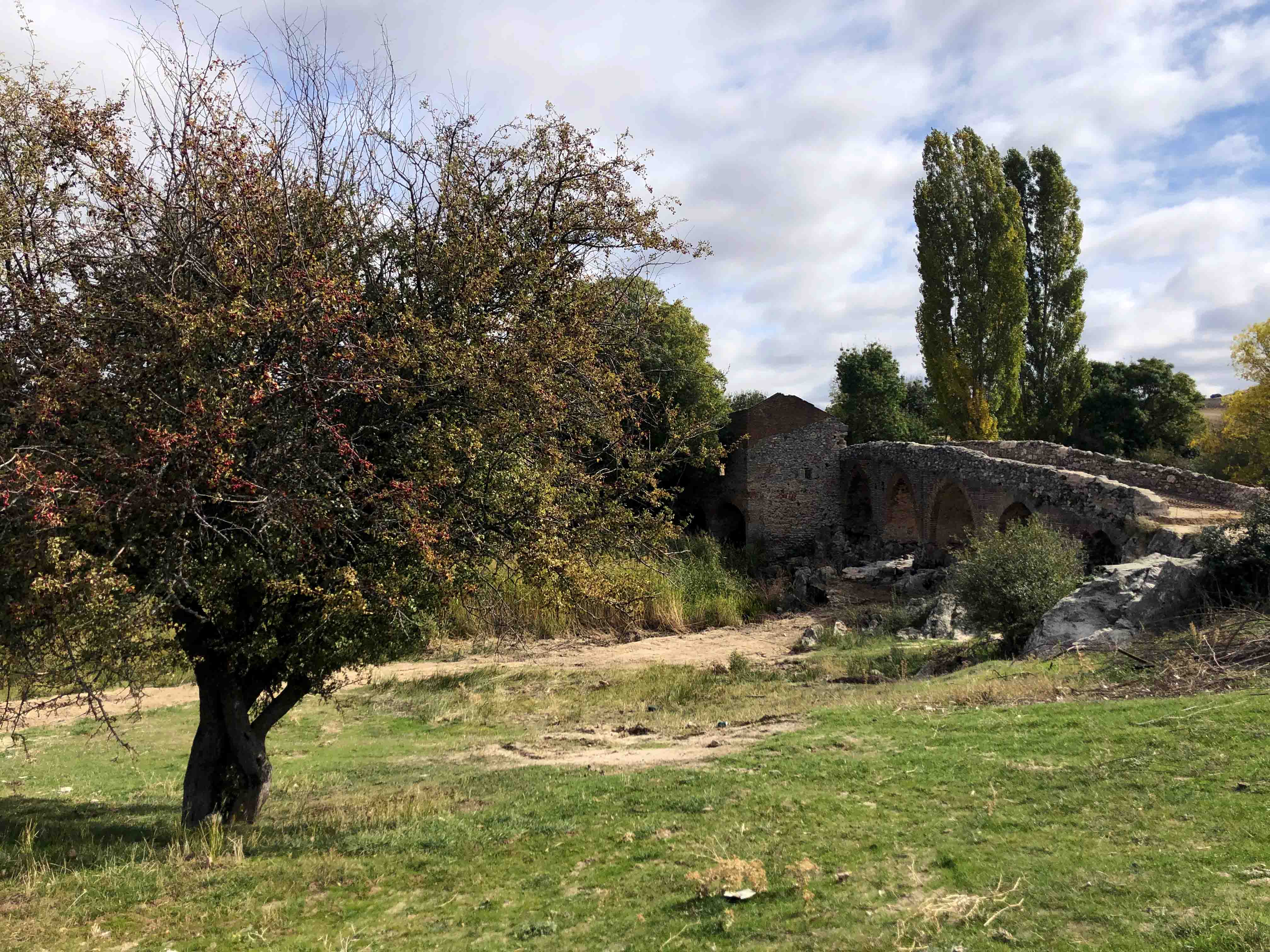 MOLINO Y MAJUELO retocada