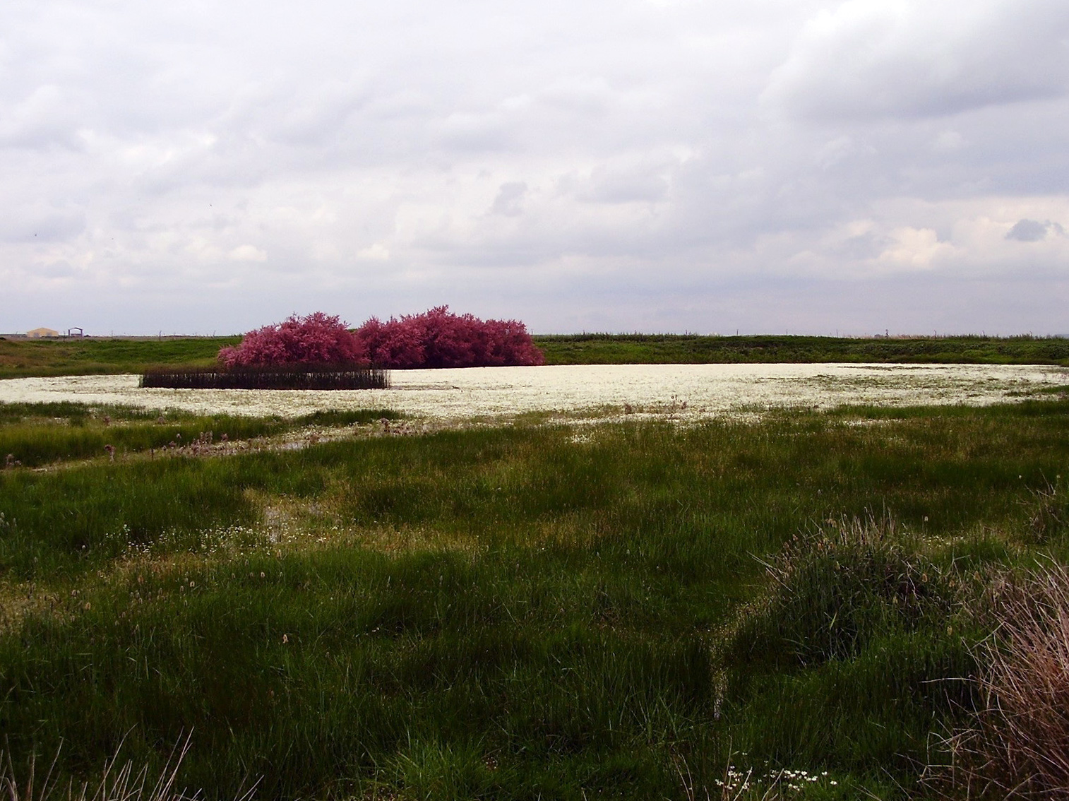 laguna en primavera retocada 