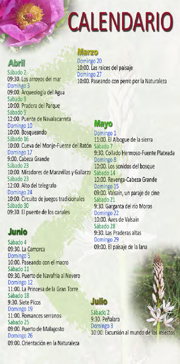 calendario_rutas.png