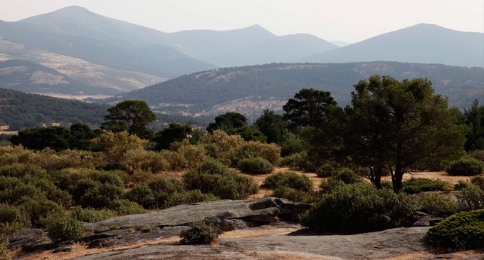 guadarrama_sierra.jpg