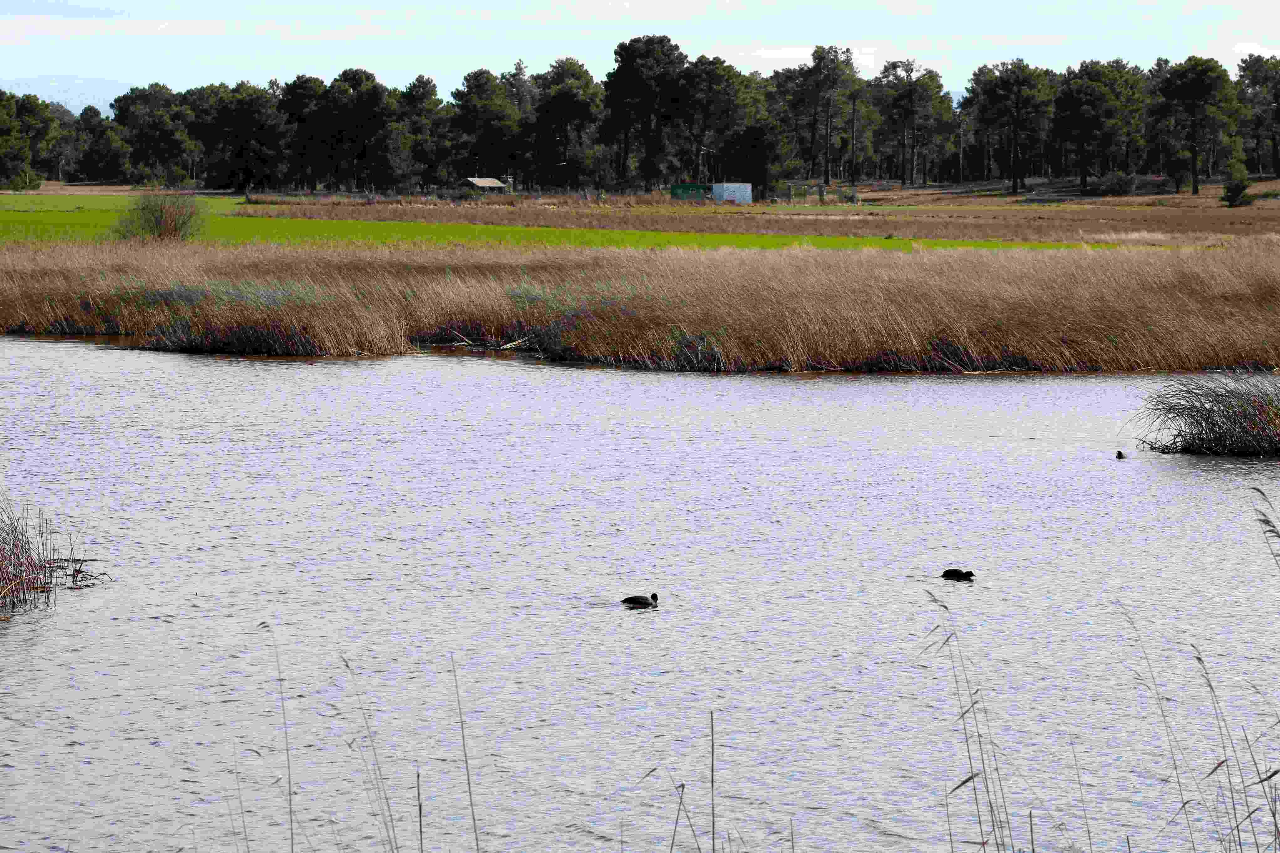 Visita Teatralizada por las Lagunas de Cantalejo