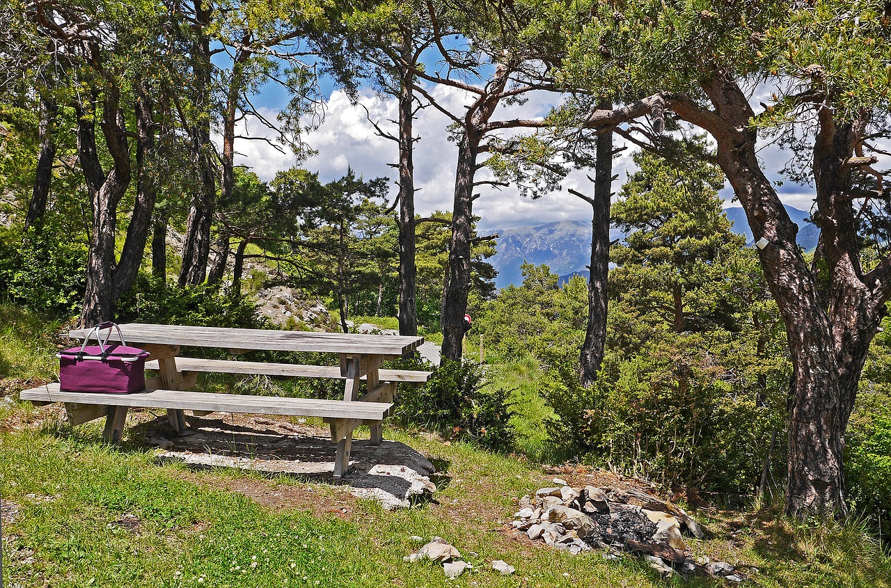 picnic-areas-recreativas-valsain.jpg